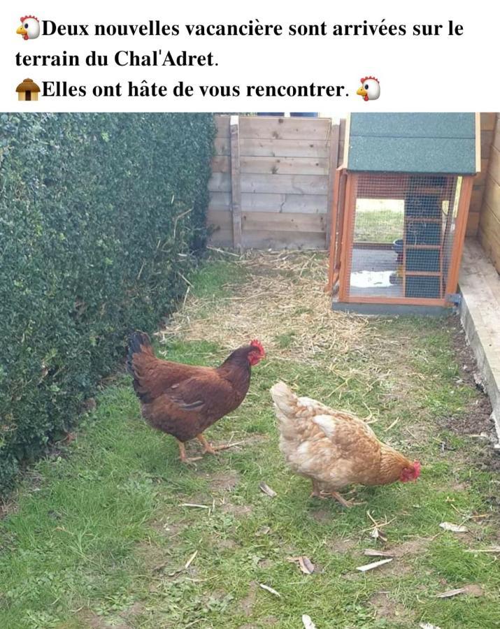 Le Chal Adret Villa Cardonville Eksteriør bilde